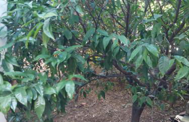 Apartment Dolphins - Photo 53