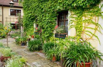 Obere Mühle - Scheunenwohnung mitten im Grünen - Foto 17