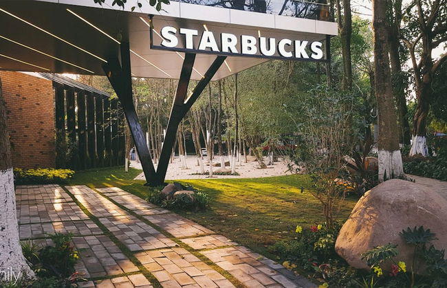 Armin Homes Studio Solforest Ecopark - Photo 22