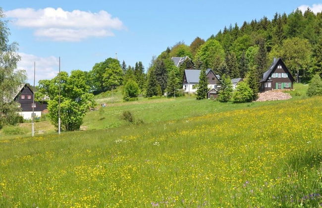 Mrs. Monika Rasehorn - Foto 19