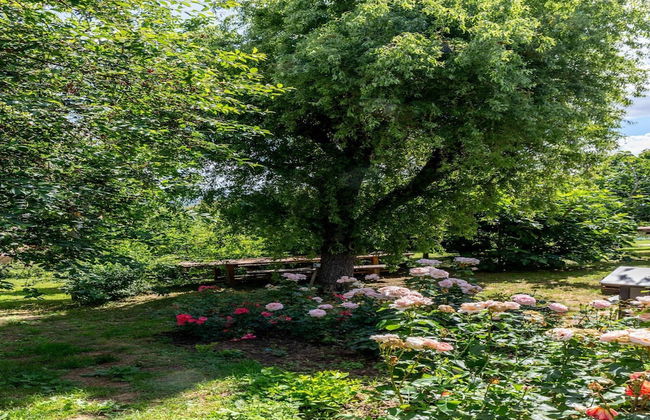 Apartment in Cervione With Balcony/terrace - Photo 24