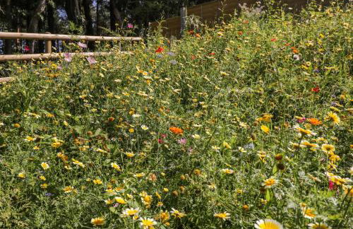 Stag Cottage - Photo 43