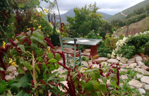 Studio Penelope - Photo 60