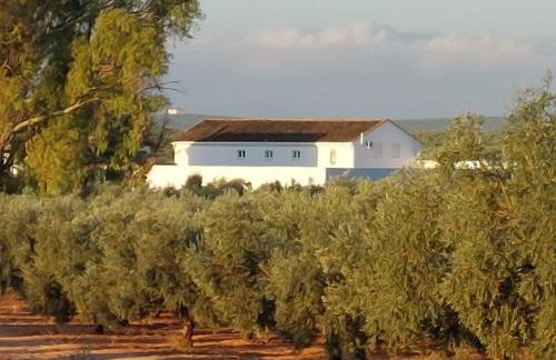 Luxury accomodation off grid - Foto 1