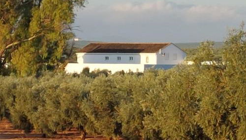 Luxury accomodation off grid - Foto 1