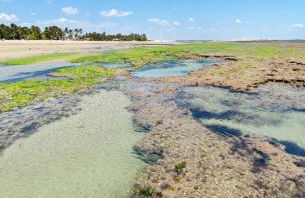 FLECHEIRAS ATLANTICO - Foto 54