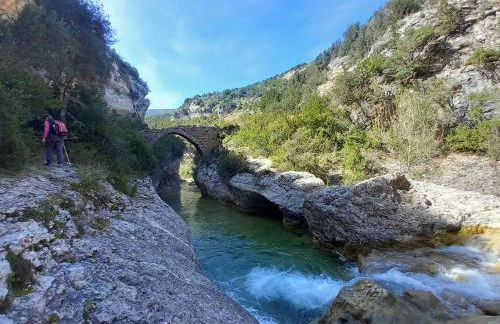 Apartahotel Valle de Rodellar - Foto 44