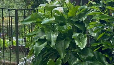 Ca d Andrea - Foto 3