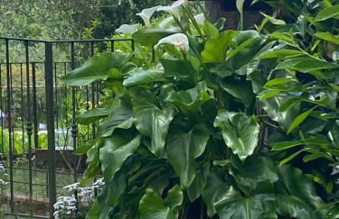 Ca d Andrea - Foto 3