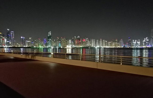 Tour della città di un'intera giornata a Dubai - Foto 2