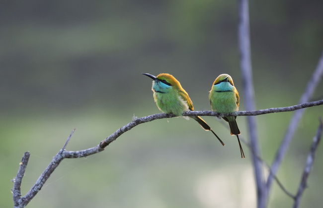 Villa Tanderra - Photo 69