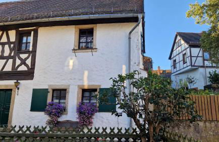 Ferienhaus Im Winkel - Foto 15