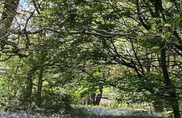 North Cottage Marlfields Hall, Stunning Location - Foto 12