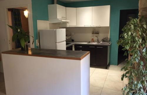 Appartement 2 personnes Le Bugue Périgord Noir - Foto 4