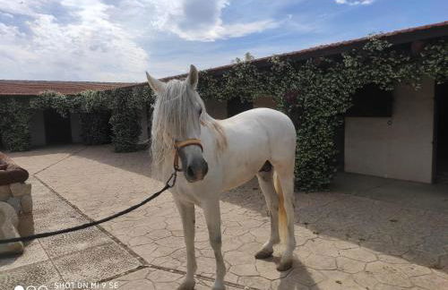 Finca La Calancha - Foto 40