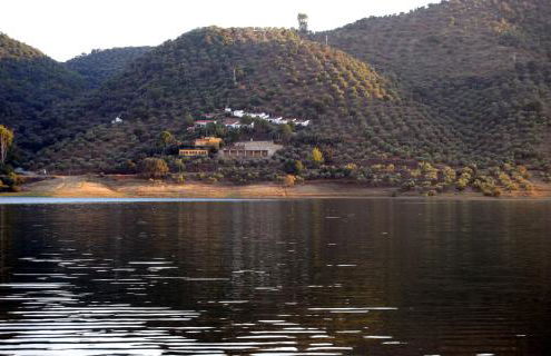 Aparthotel Las Palomas - Photo 12