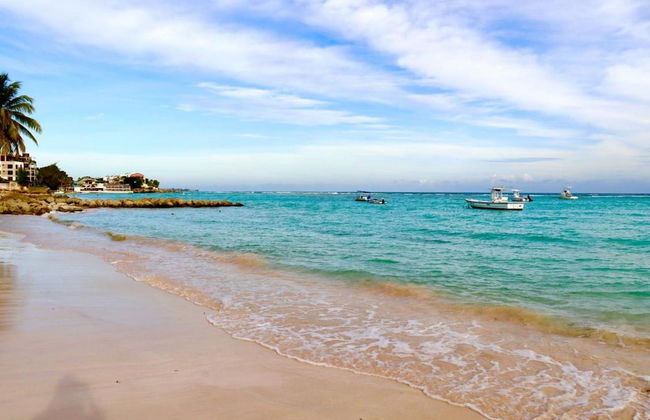 Melrose Beach Apartments - Foto 24