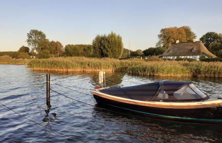 Ferienhaus Waldidyll - Erholung zwischen Schlei und Ostsee - Foto 5