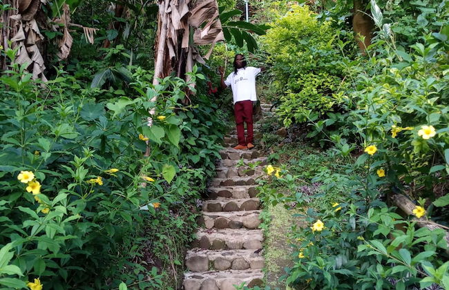 Berkey's Jungle Paradise - Photo 76