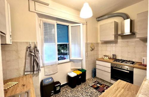 Il giardino delle Cycas - Foto 9