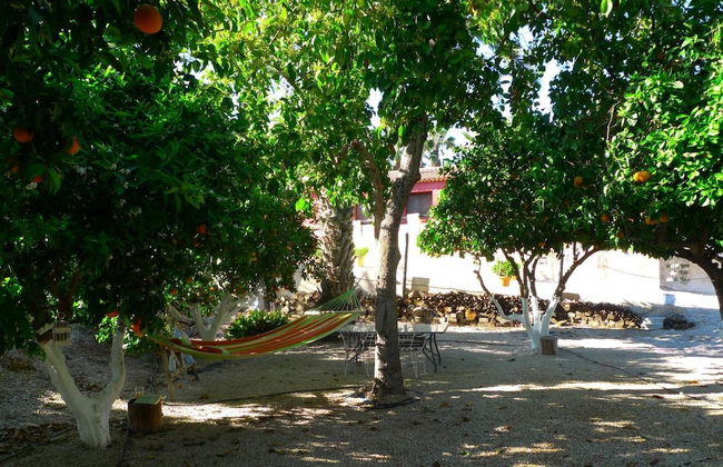 La Joya del Valle de Ricote - Photo 40