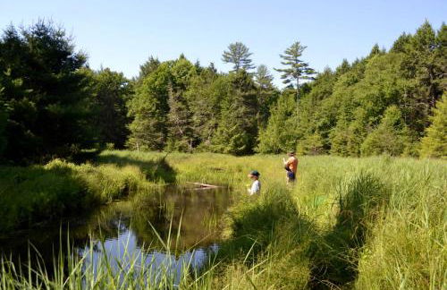 Eco-Friendly, Abstract Treehouse Surrounded by Wildlife and Hiking Trails For a Special Getaway in Sparrow Bush, New York - Foto 25