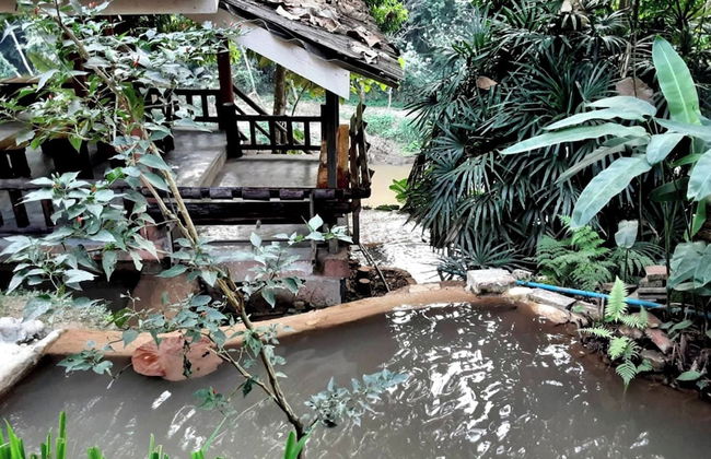 The Cascade - Mae Taeng Waterfall Bungalows - Photo 31