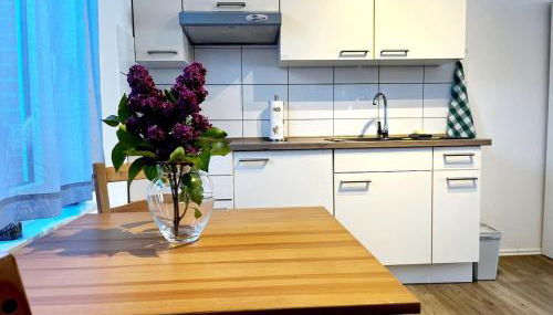 Schönes 1-Zimmer-Appartement, Büsum (4km) Nordsee - Foto 3, stove, heating, toaster