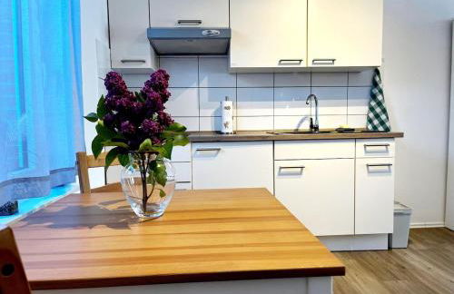 Schönes 1-Zimmer-Appartement, Büsum (4km) Nordsee - Foto 3