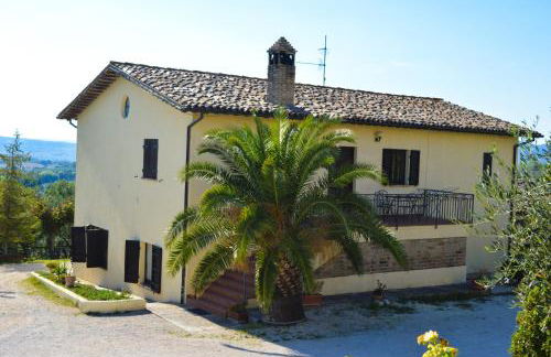 Cardinal Girolamo - Foto 1