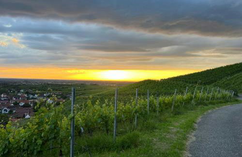 romantisches Winzerhäuschen Schwarzwald und Weinberge - Foto 16