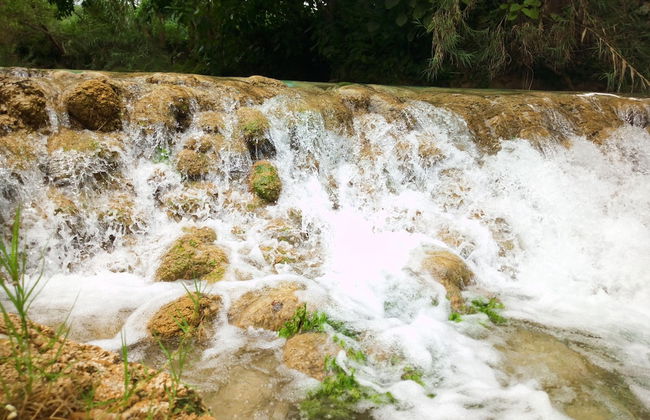 Room in Cabin - Cozy Sierraverde Cabins Cabana la Ceiba - Foto 10