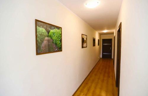 Winnica Anna Noclegi - Foto 14