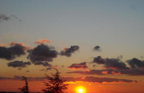 Les Gites du Mont Ventoux - Foto 26