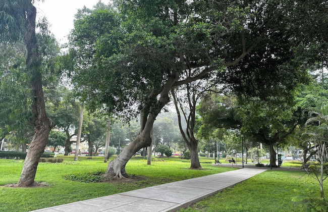 Executive Apartment San Isidro Business - Foto 51