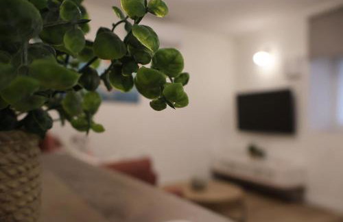 Split Avocado Dream - Foto 32