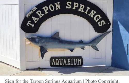 Spacious 3 Bedroom PET FRIENDLY!- Close to beach! - Foto 38