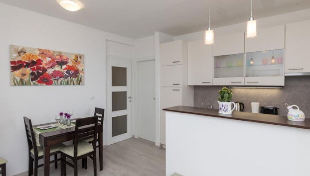 Apartment Precious View - Foto 3, Cocina privada