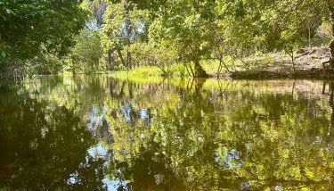 Sítio Encanto do Delta - Foto 4