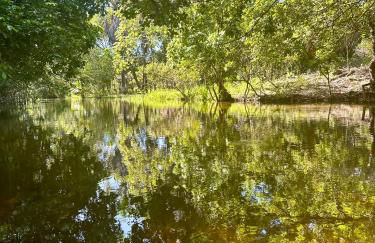 Sítio Encanto do Delta - Photo 4