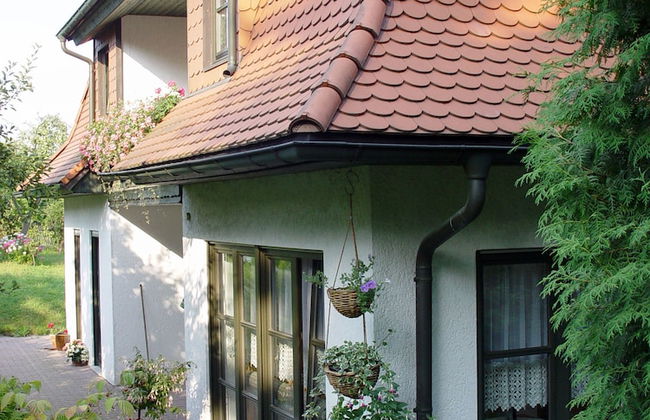 Ferienwohnungen Elsterblick - Foto 1