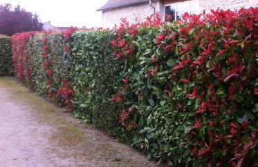 Gite de Marcureau - Foto 34