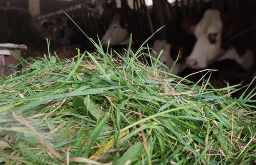 Taverna Centomani - Photo 30