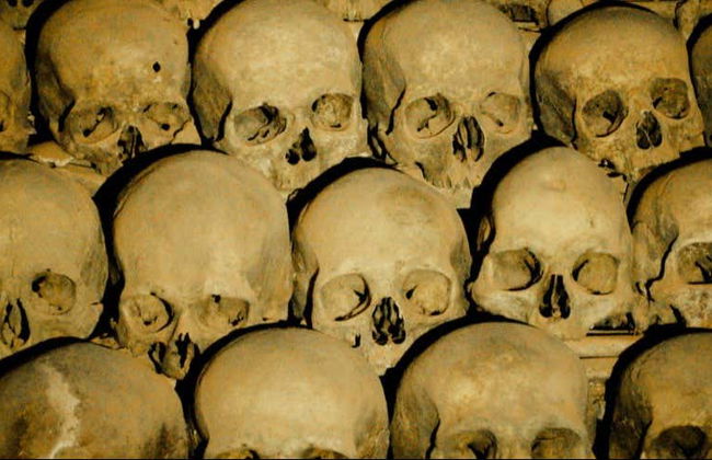 Criptas e ruínas de Valladolid - Foto 1