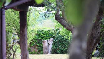 Casa Micuccio - Foto 3, Garden, Garden view