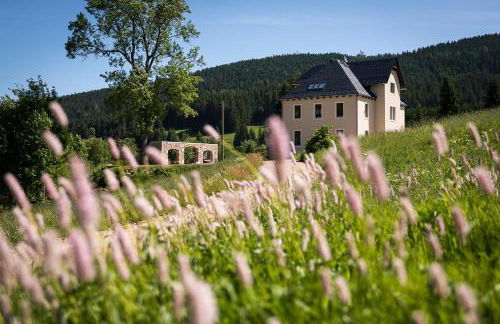 Alte Försterei Wildenthal am Kammweg Erzgebirge Ferienapartment 3 - Foto 30