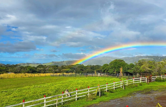 Almore Hotel - Foto 43