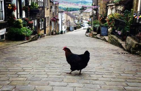 Holmes Cottage in the heart of Haworth - Foto 14