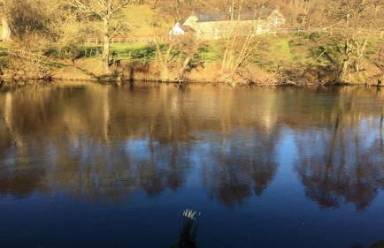 Bryn Melyn Farm Cottages - Foto 19