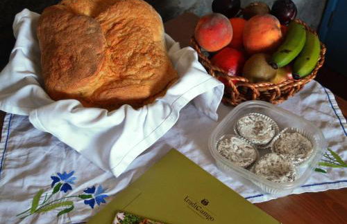 Holiday Home Casa da Talha- Rustikaler Charme auf den Azoren by Interhome - Photo 15